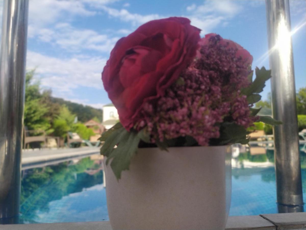 Bliss Hotel Gabala Bagian luar foto